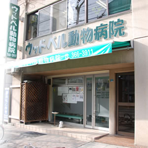 ウッドベル動物病院（神戸市中央区）